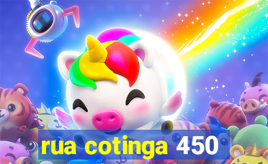 rua cotinga 450