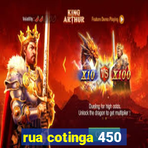 rua cotinga 450