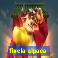 fivela alpaca