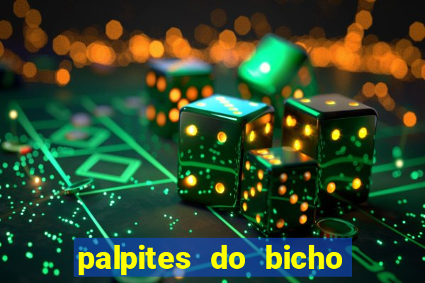 palpites do bicho no celular