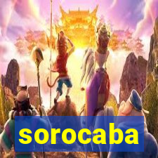 sorocaba popula莽茫o 2024