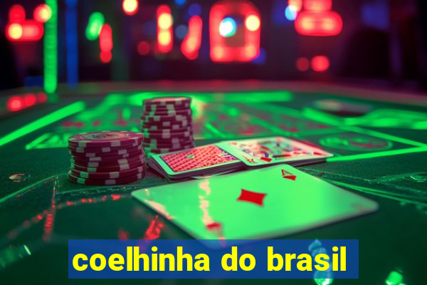 coelhinha do brasil