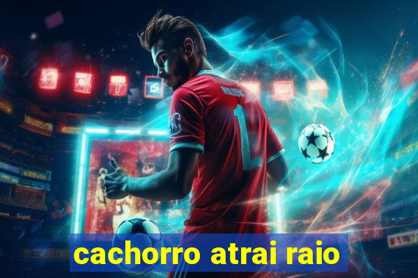 cachorro atrai raio