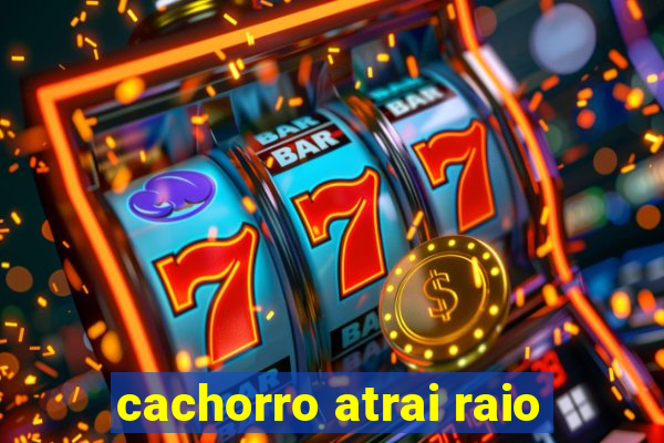 cachorro atrai raio