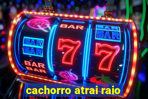 cachorro atrai raio