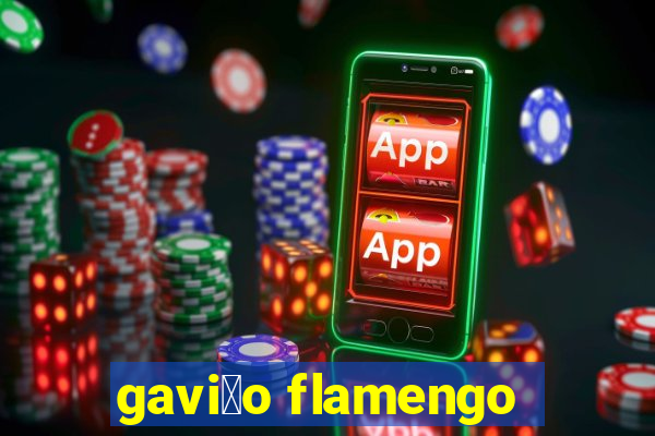 gavi茫o flamengo