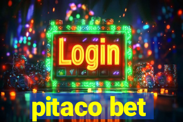 pitaco bet