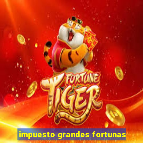 impuesto grandes fortunas