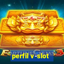 perfil v-slot