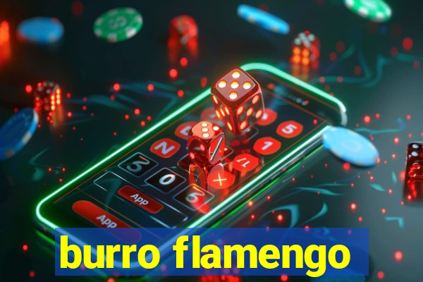 burro flamengo