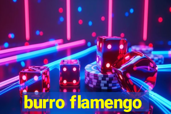 burro flamengo