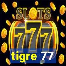 tigre 77