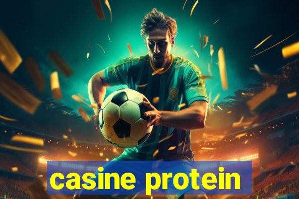 casine protein