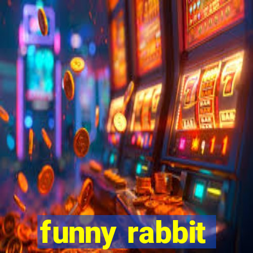 funny rabbit