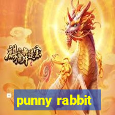 punny rabbit