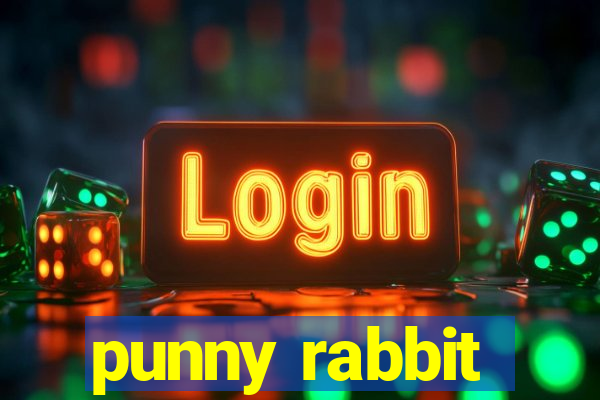 punny rabbit