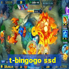 t-bingogo ssd