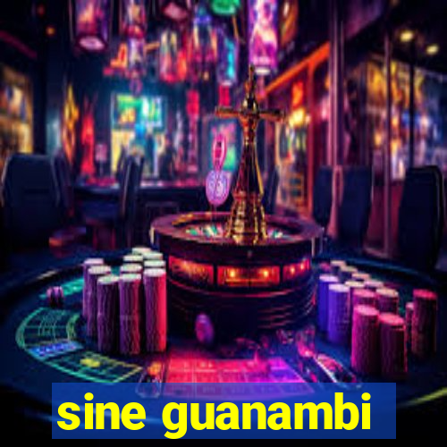 sine guanambi