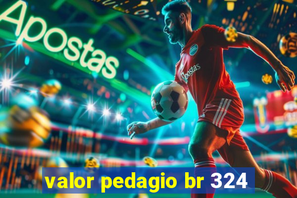 valor pedagio br 324