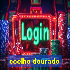 coelho dourado