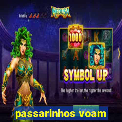 passarinhos voam