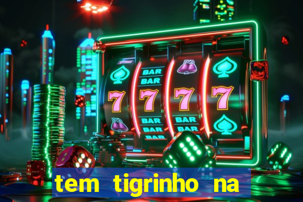 tem tigrinho na bet 365