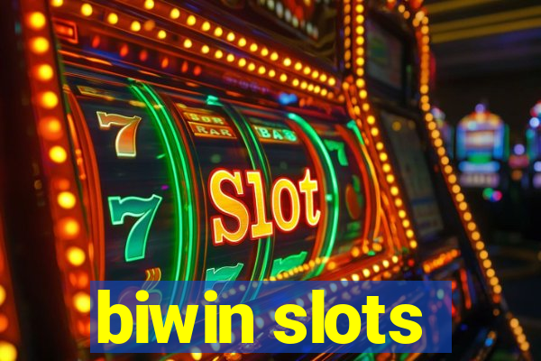 biwin slots