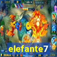 elefante7