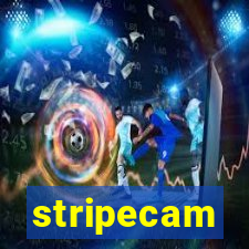 stripecam