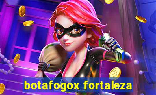 botafogox fortaleza