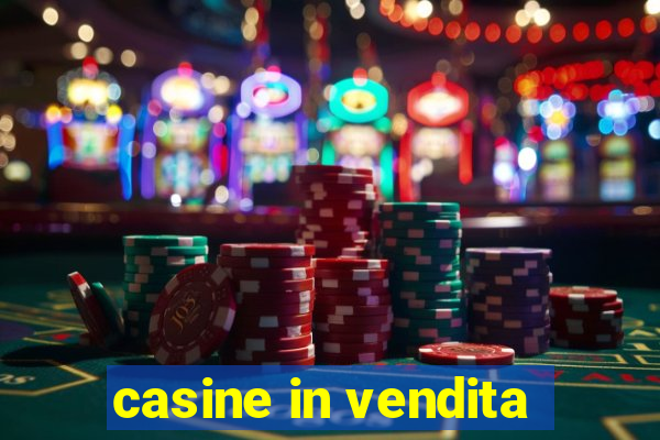 casine in vendita