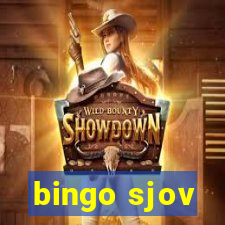 bingo sjov