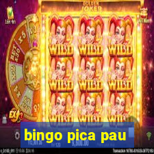 bingo pica pau