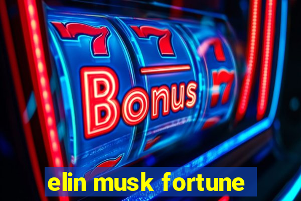 elin musk fortune