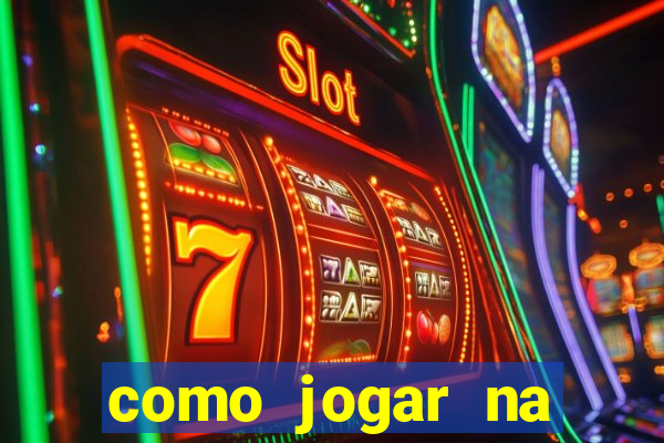 como jogar na lotinha do jogo do bicho