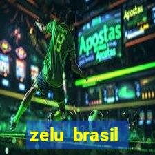 zelu brasil facilitadora de pagamentos ltda jogos