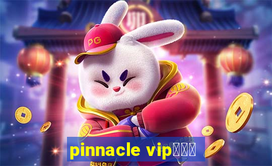 pinnacle vipコード