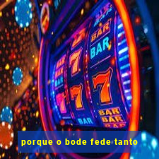 porque o bode fede tanto