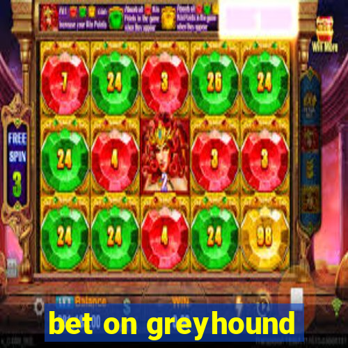 bet on greyhound