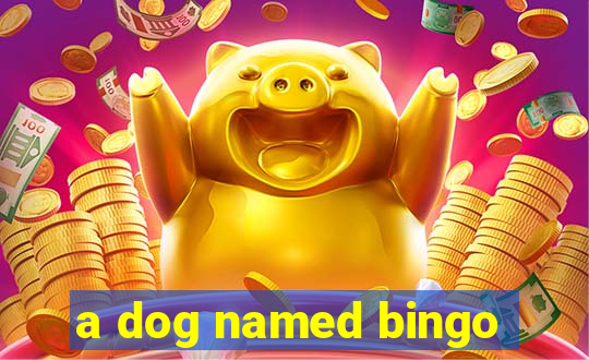 a dog named bingo