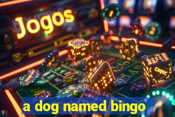 a dog named bingo