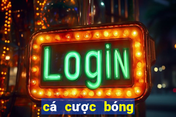 cá cược bóng đá online