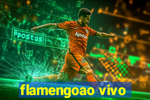 flamengoao vivo