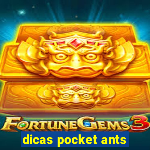 dicas pocket ants