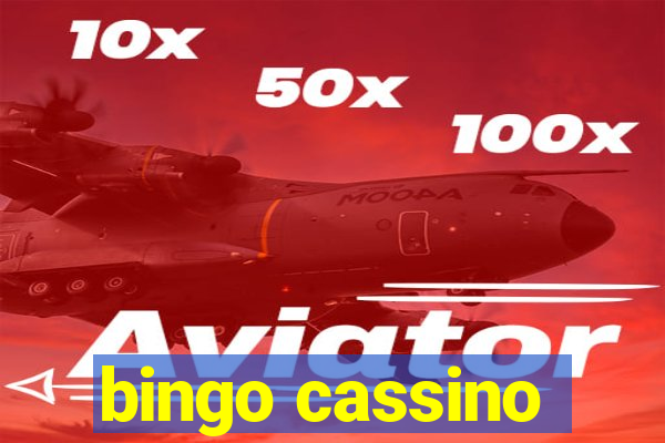 bingo cassino