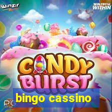 bingo cassino