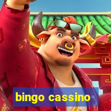 bingo cassino