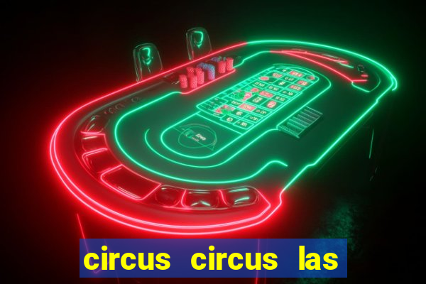 circus circus las vegas hotel & casino