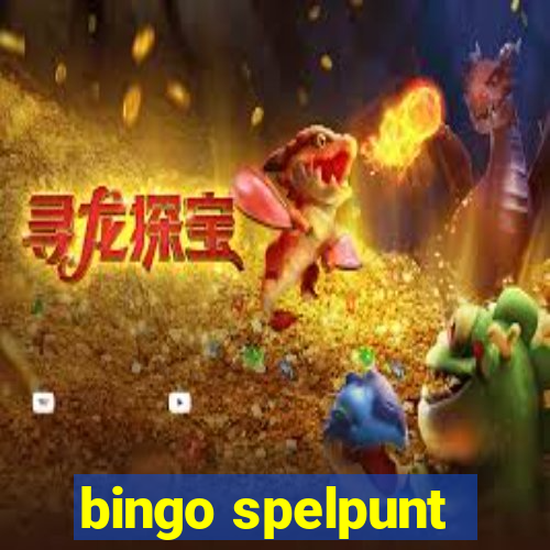 bingo spelpunt