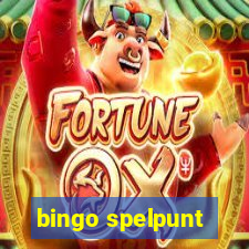 bingo spelpunt